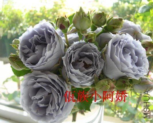 QQͼƬ20130506113520.jpg
