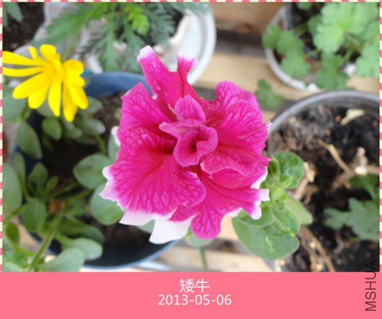DSC04805_����.jpg