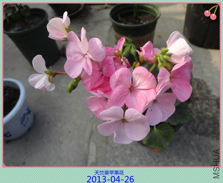 DSC04603_����.jpg