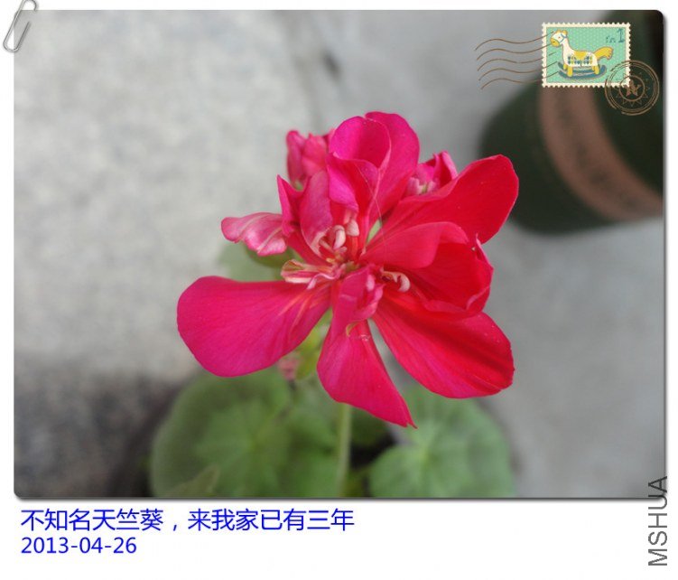 DSC04605_����.jpg