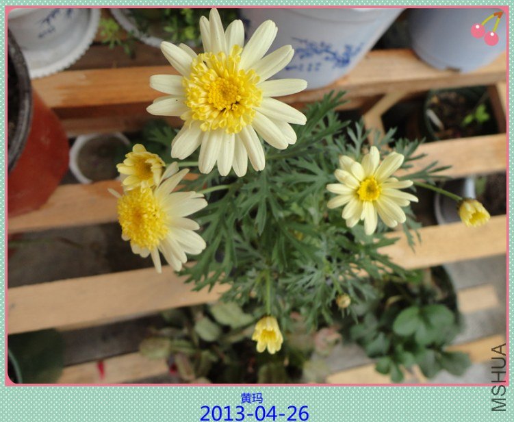 DSC04612_����.jpg