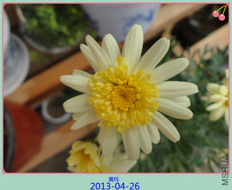 DSC04613_����.jpg