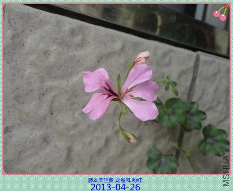DSC04614_����.jpg