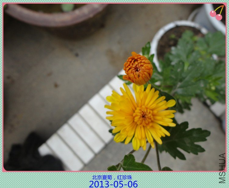 DSC04787_����.jpg
