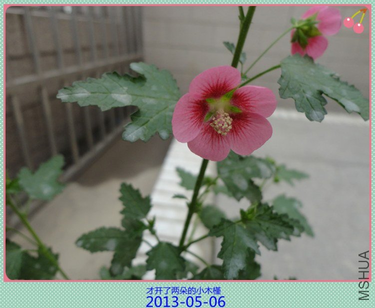DSC04790_����.jpg