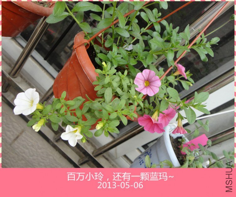 DSC04800_����.jpg