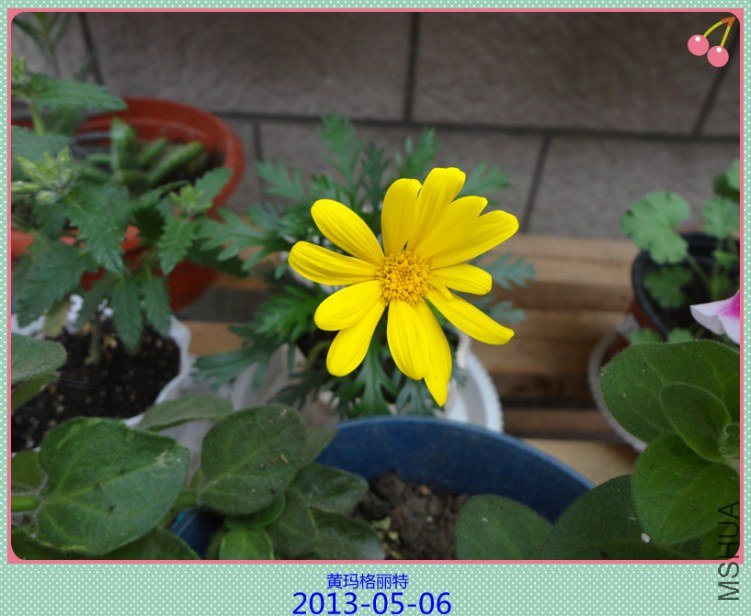 DSC04803_����.jpg