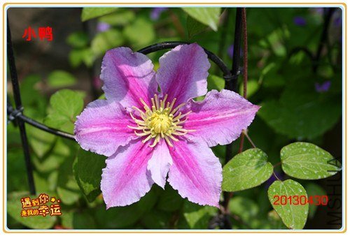 ��Ƭ 130_����.jpg