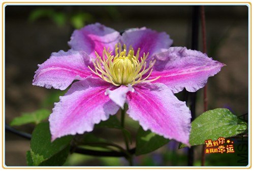 ��Ƭ 131_����.jpg