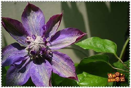 ��Ƭ 134b_����.jpg