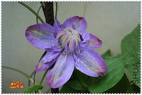 ��Ƭ 134d_����.jpg