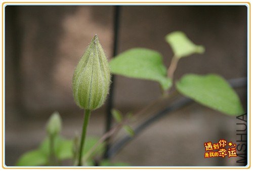 ��Ƭ 133_����.jpg