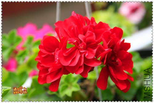 ��Ƭ 201_����.jpg