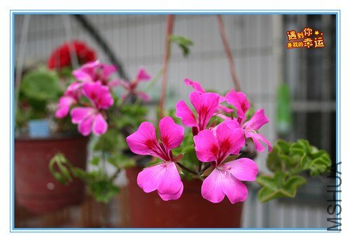 ��Ƭ 193_����.jpg