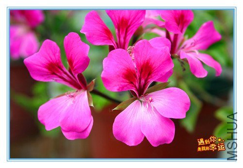 ��Ƭ 196_����.jpg