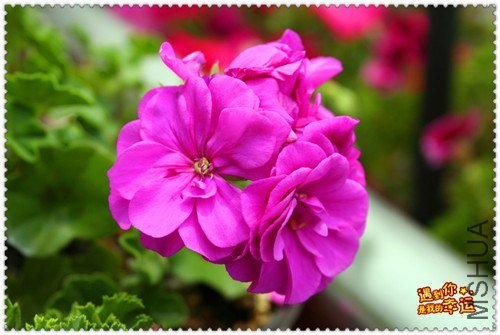 ��Ƭ 184_����.jpg