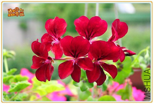 ��Ƭ 192_����.jpg