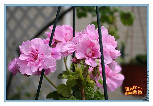 ��Ƭ 186_����.jpg