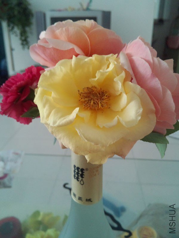 IMG_20130429_144418.jpg