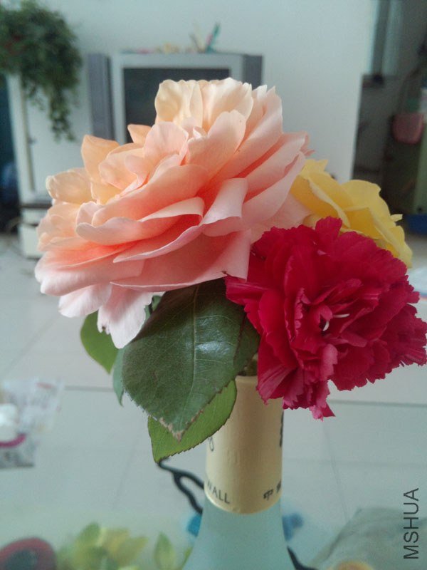 IMG_20130429_144441.jpg