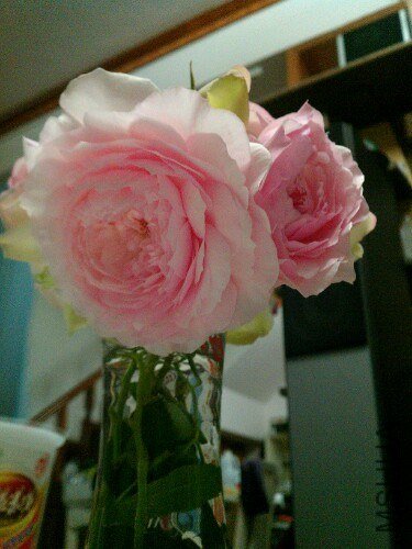 IMG20130506221657.jpg