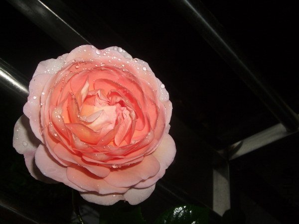 �����