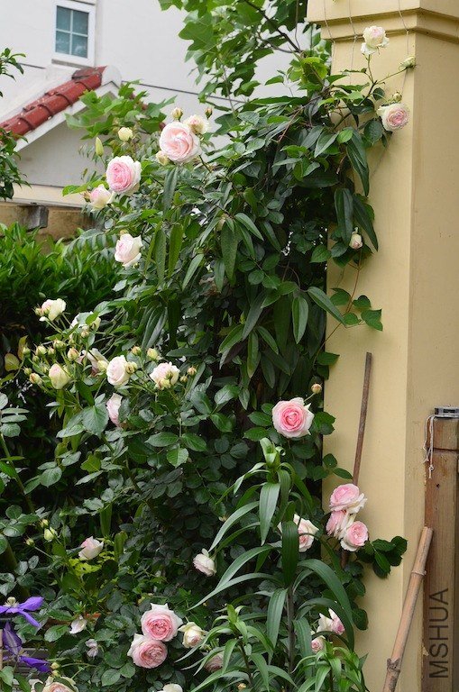 DSC_0033.JPG