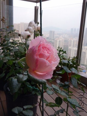 ���һ���ǲ��ú�ѽ