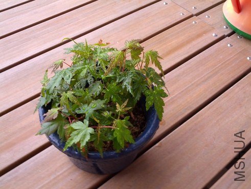 ·��������С��㣡