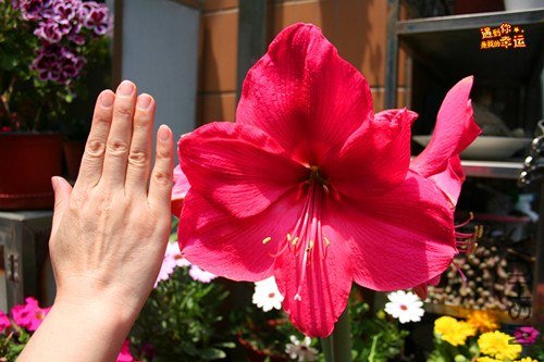 ��Ƭ 040_����.jpg