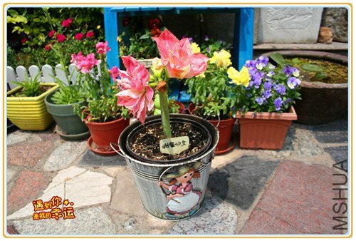 ��Ƭ 068_����.jpg