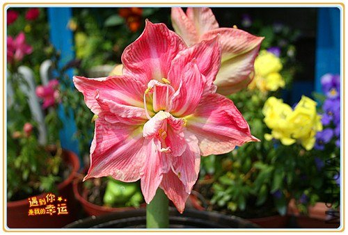 ��Ƭ 070_����.jpg