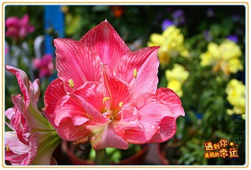 ��Ƭ 072_����.jpg