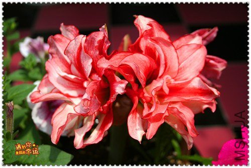 ��Ƭ 107_����.jpg