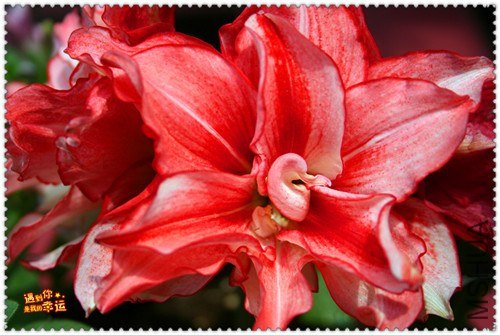 ��Ƭ 110_����.jpg