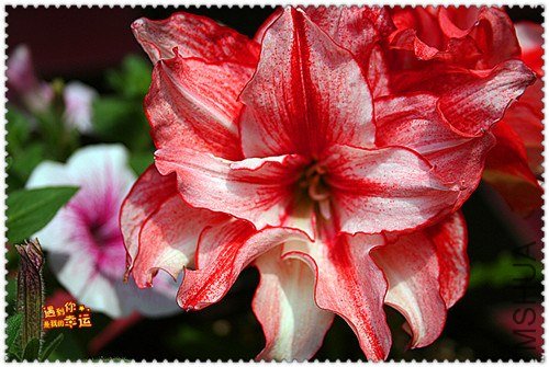 ��Ƭ 112_����.jpg