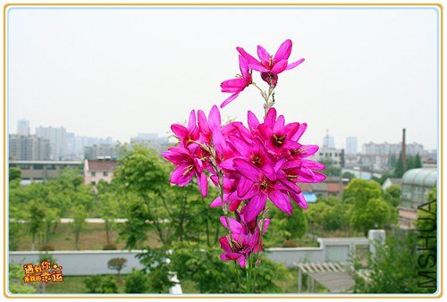 ��Ƭ 140_����.jpg