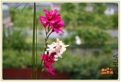 ��Ƭ 140a_����.jpg