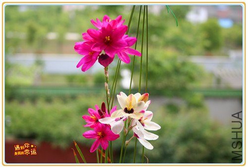 ��Ƭ 140b_����.jpg