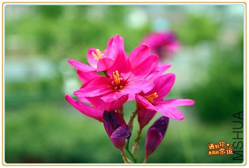 ��Ƭ 141_����.jpg