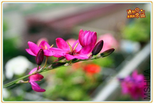 ��Ƭ 142_����.jpg