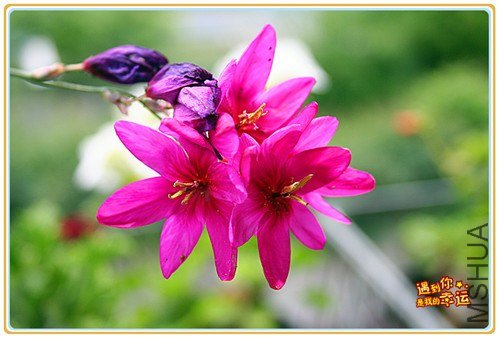 ��Ƭ 143_����.jpg