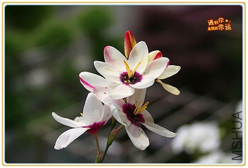 ��Ƭ 145_����.jpg