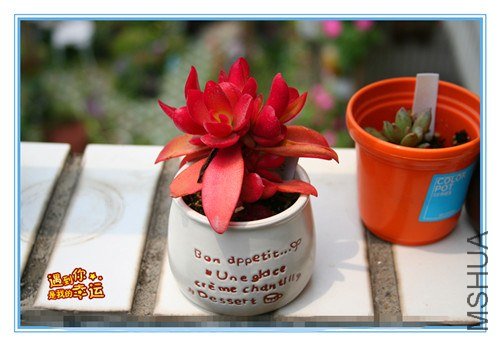 ��Ƭ 164_����.jpg