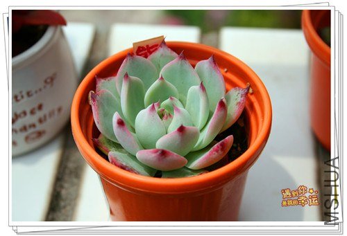 ��Ƭ 168_����.jpg