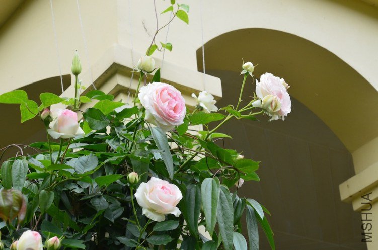 DSC_0022.JPG