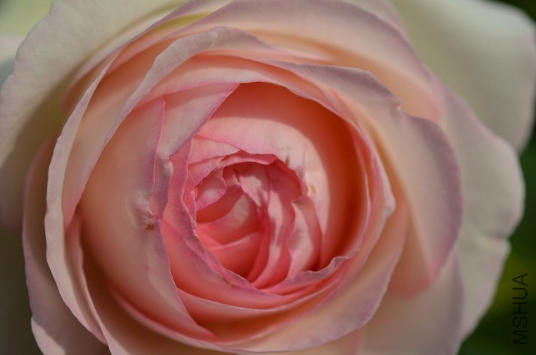 ŷ����ɳ��ʯ20130505 015.JPG