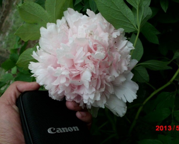 ({3T~4~0510OZCRRPVL3A{6.jpg