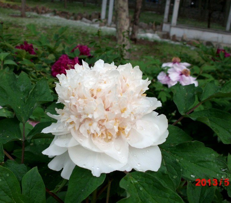 ~(F{(9`N`J8GHXF$JL85UKN.jpg