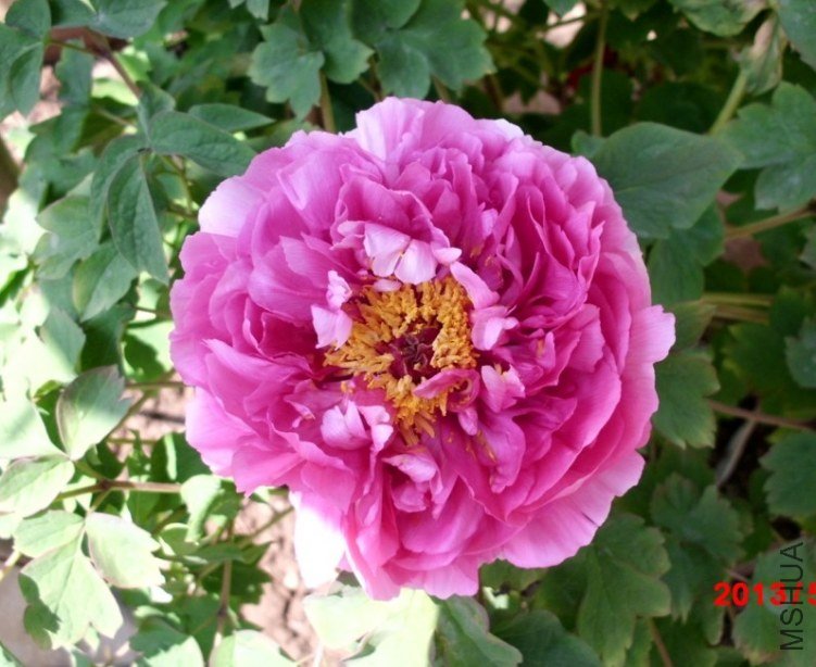 PSHTKV(W1]9J)BB2%8YV.jpg